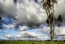 英雄无敌3秘籍作弊码大全2025